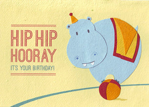 Hip Hooray Birthday