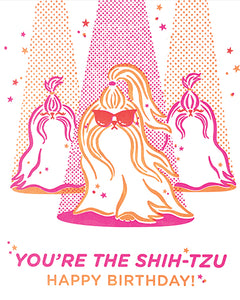 You're The Shih Tzu